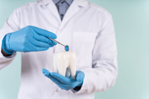 dentist holding oversized tooth model